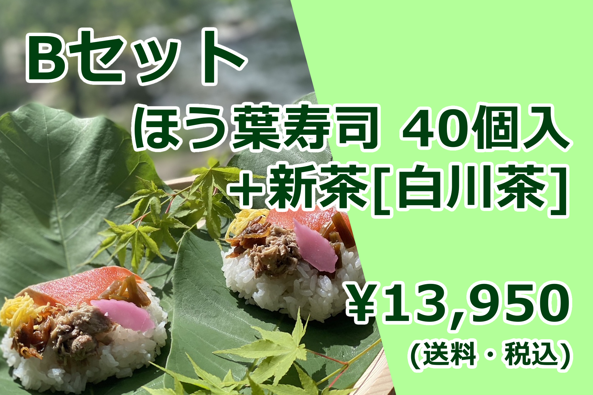 【ほう葉寿司】Bセット（ほう葉寿司40個入り＋新茶[白川茶]）