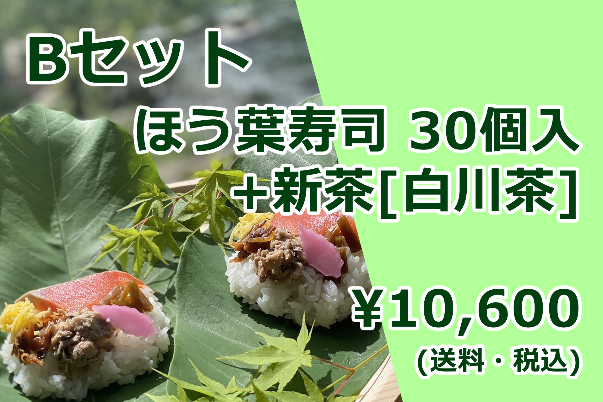 【ほう葉寿司】Bセット（ほう葉寿司30個入り＋新茶[白川茶]）