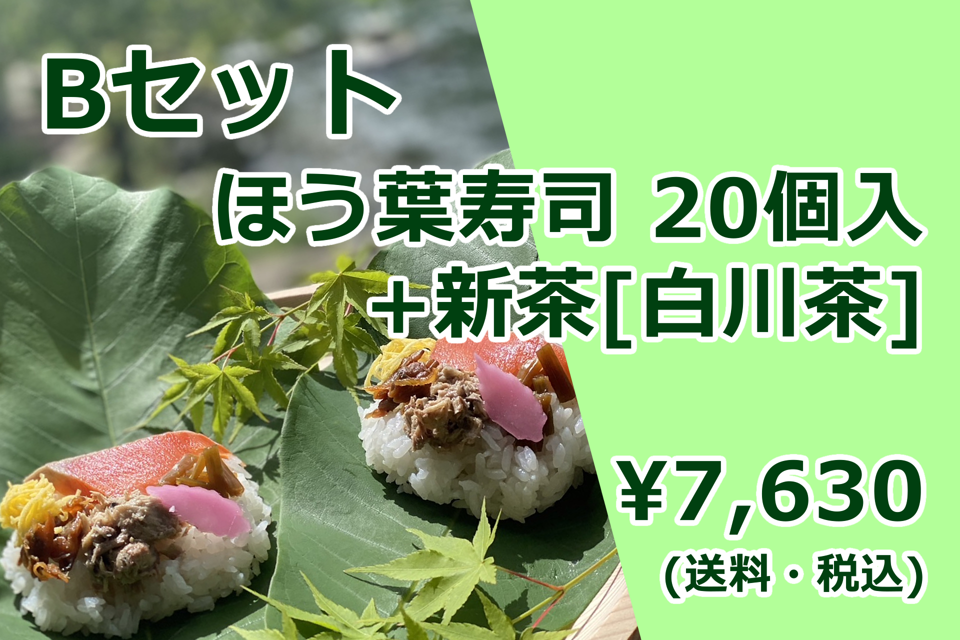 【ほう葉寿司】Bセット（ほう葉寿司20個入り＋新茶[白川茶]）