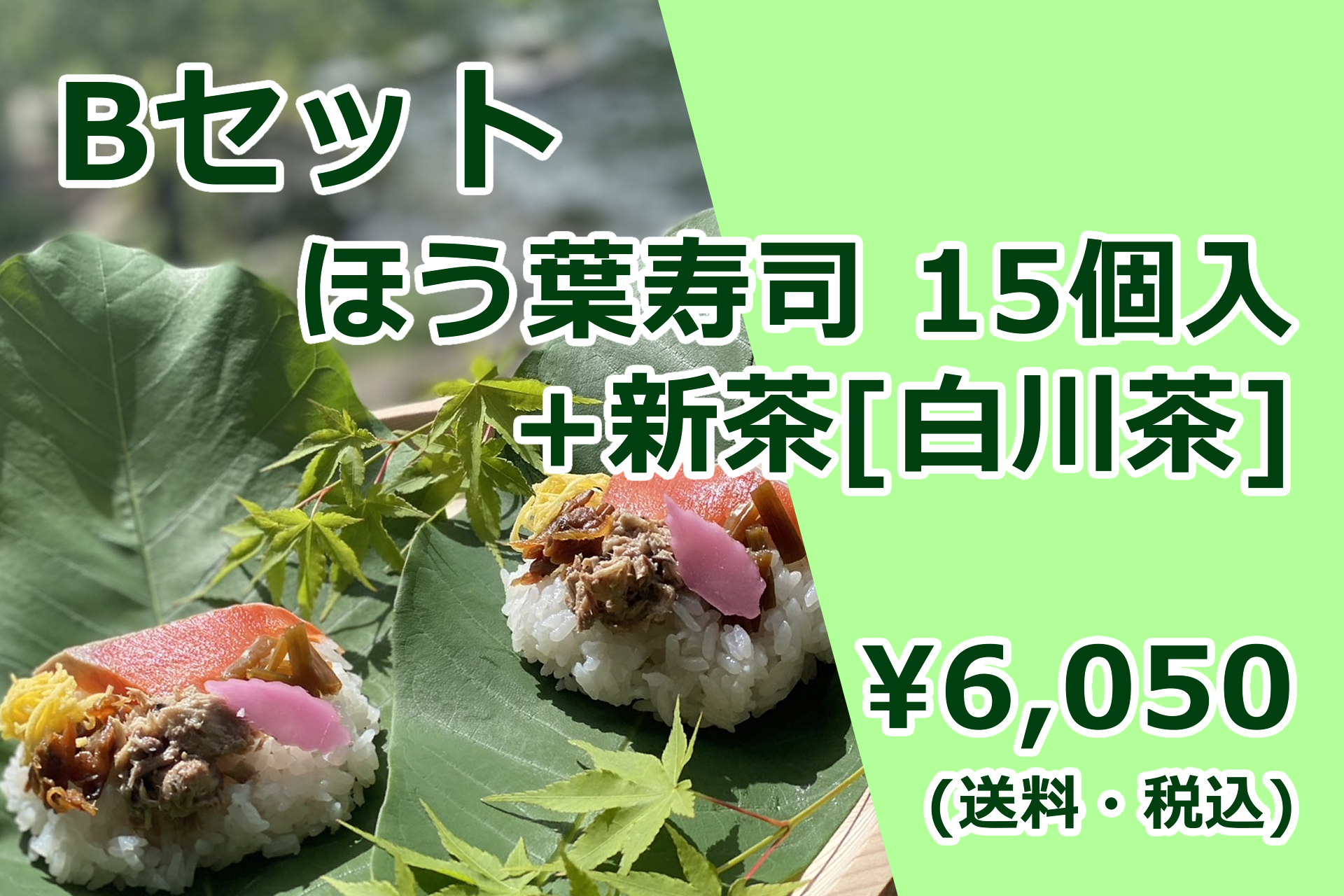 【ほう葉寿司】Bセット（ほう葉寿司15個入り＋新茶[白川茶]）