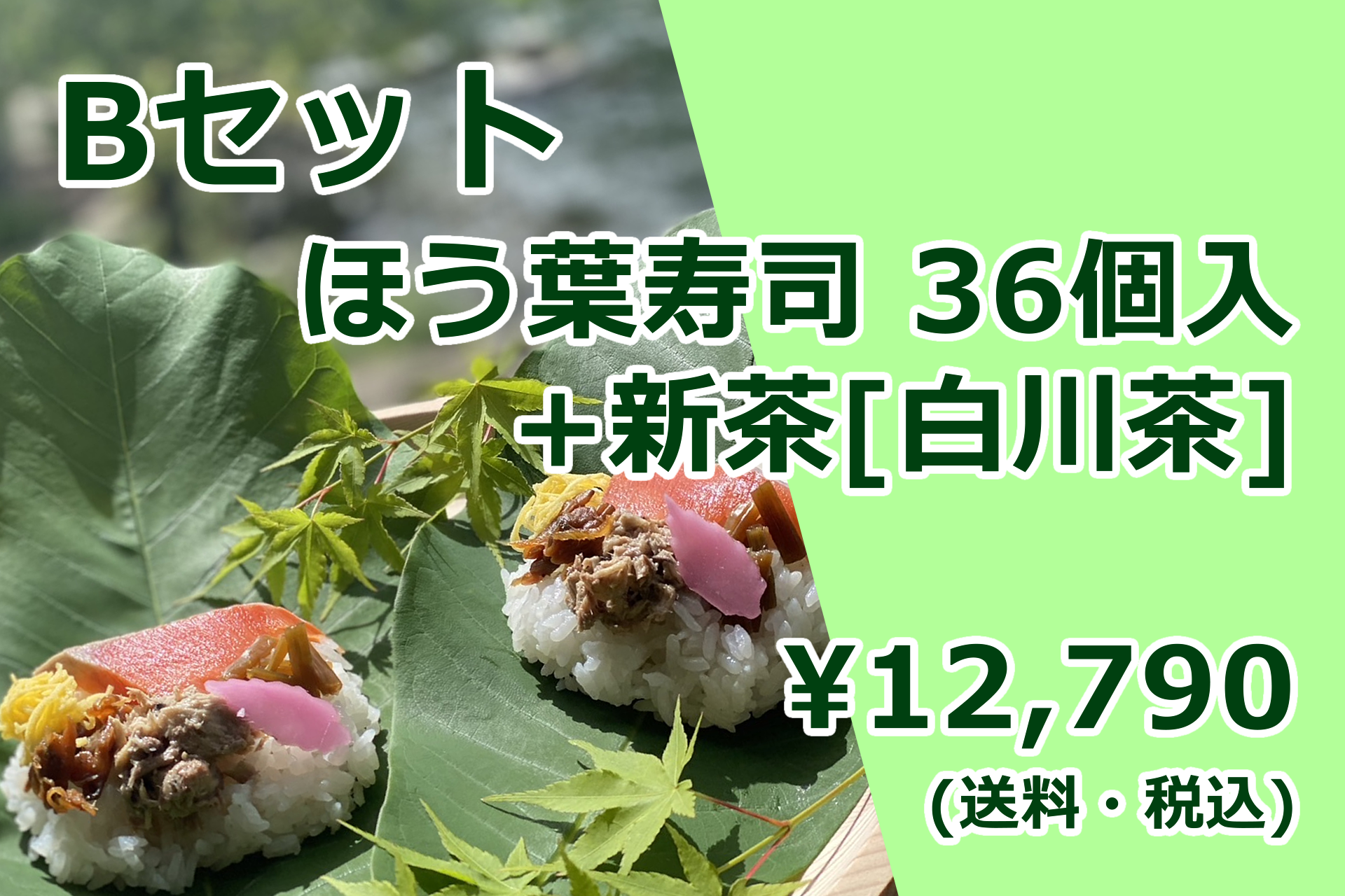 【ほう葉寿司】Bセット（ほう葉寿司36個入り＋新茶[白川茶]）