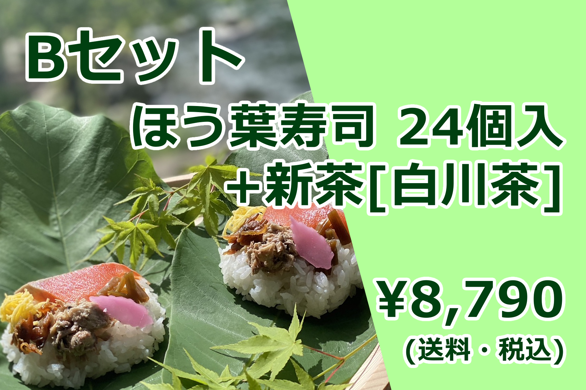 【ほう葉寿司】Bセット（ほう葉寿司24個入り＋新茶[白川茶]）